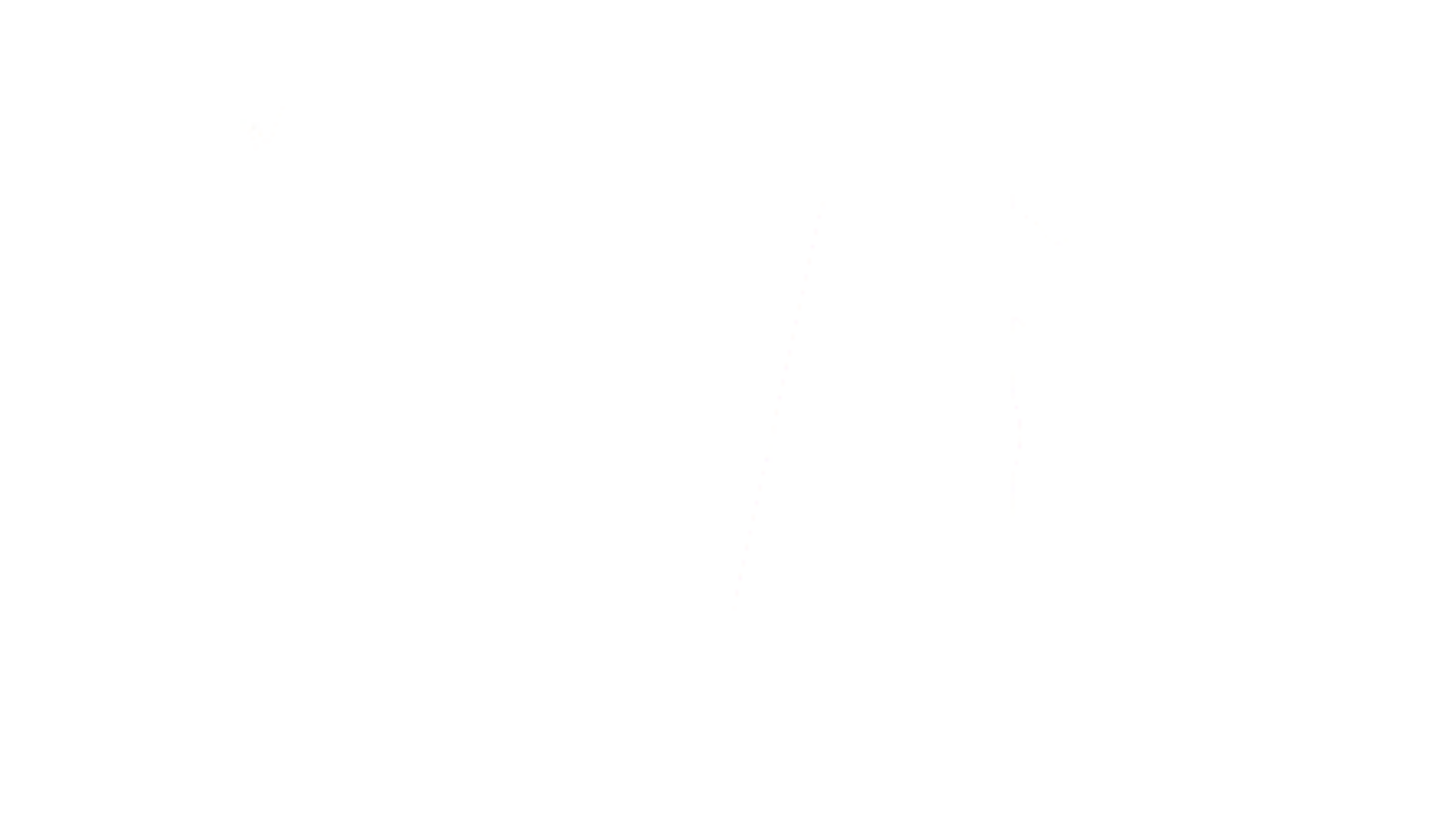wsi
